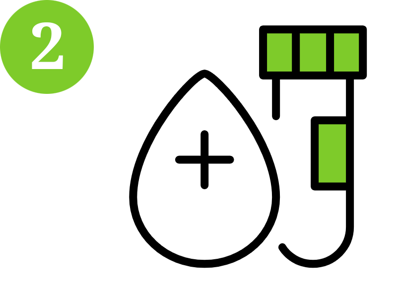 2_Blutproben_Erwachsene